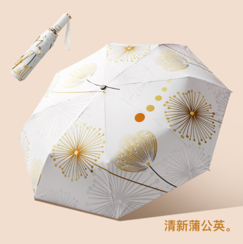 f9c0564a748e1f4aad31014b66588ad.png