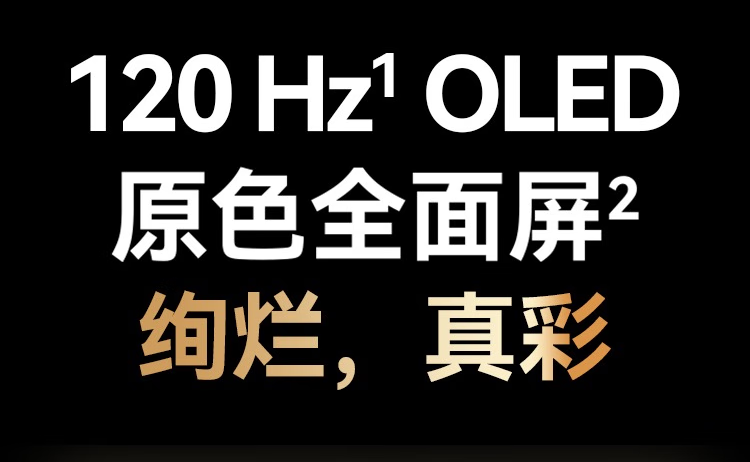 11.png