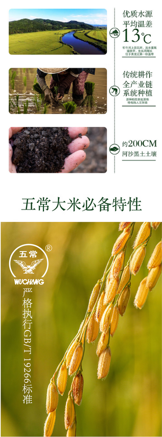 屏幕截图 2024-11-19 152226.png