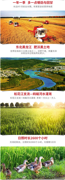 屏幕截图 2024-11-19 143615.png