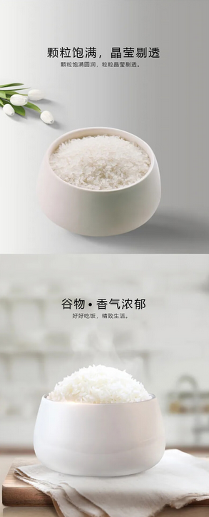 屏幕截图 2024-11-19 141430.png