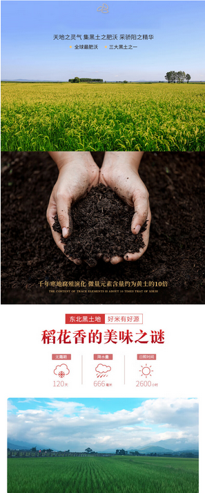 屏幕截图 2024-11-19 143545.png