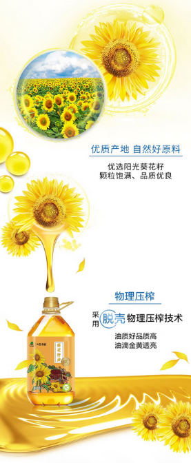 屏幕截图 2024-11-20 093943.png