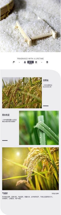 屏幕截图 2024-11-20 110108.png