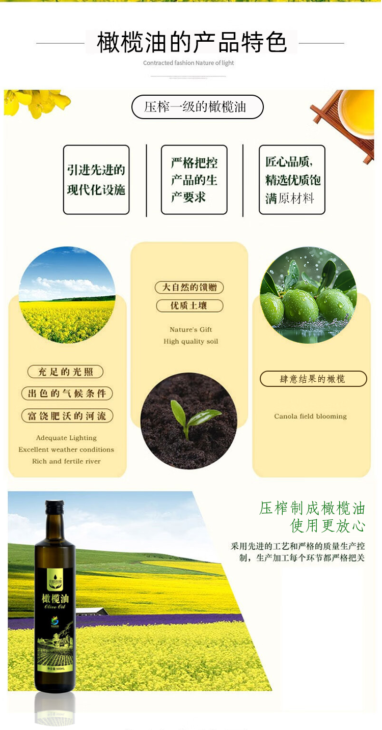 画板 1 - 副本 - 副本.png