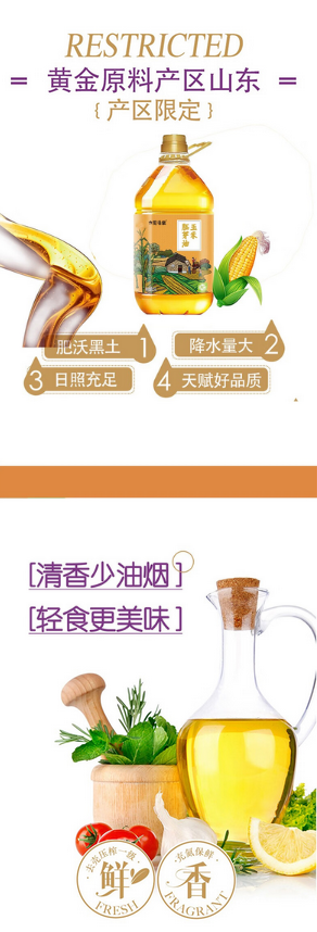 屏幕截图 2024-11-21 104645.png