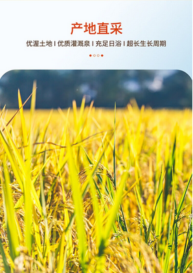 屏幕截图 2024-11-28 145933.png